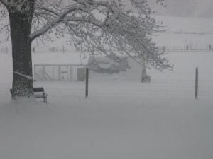 Cover photo for Snowy Afternoon Reflections on Grant Writing at a Land-Grant Institution