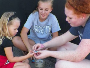 Cover photo for Celebrating Youth at the Second Brunswick County 4-H Fair