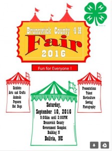 Cover photo for 4th ANNUAL 4-H FAIR