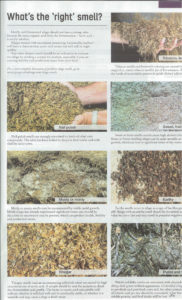 Different Odors of Silage
