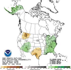 Map of US showing regions of higher or lower precipitation probability for August, 2018.