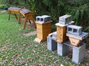 bee hives