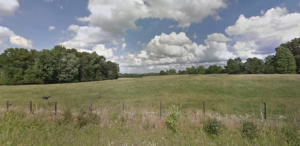 Cover photo for Need Grazing and Hay Land Near Winston Salem?