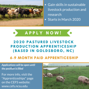 Cover photo for Learn by Doing! Pasture Livestock Production at NCSU / CEFS, Goldsboro, NC