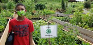 A student at their garden plot