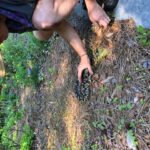 Man grabbing soil on trail