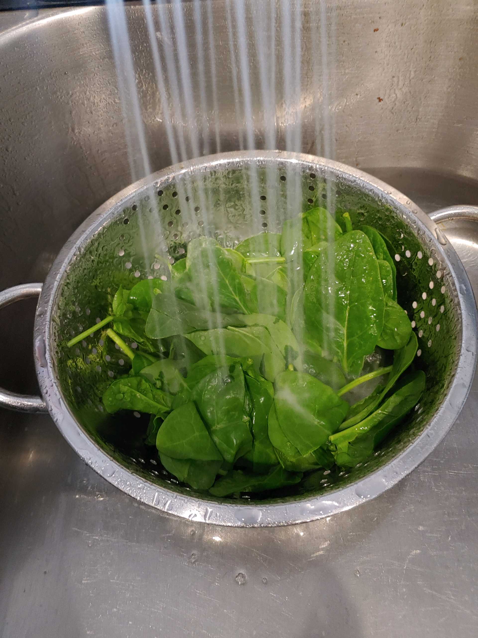Spinach in colander in sink under running water.