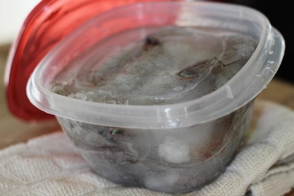 Shrimp frozen in freezer safe container