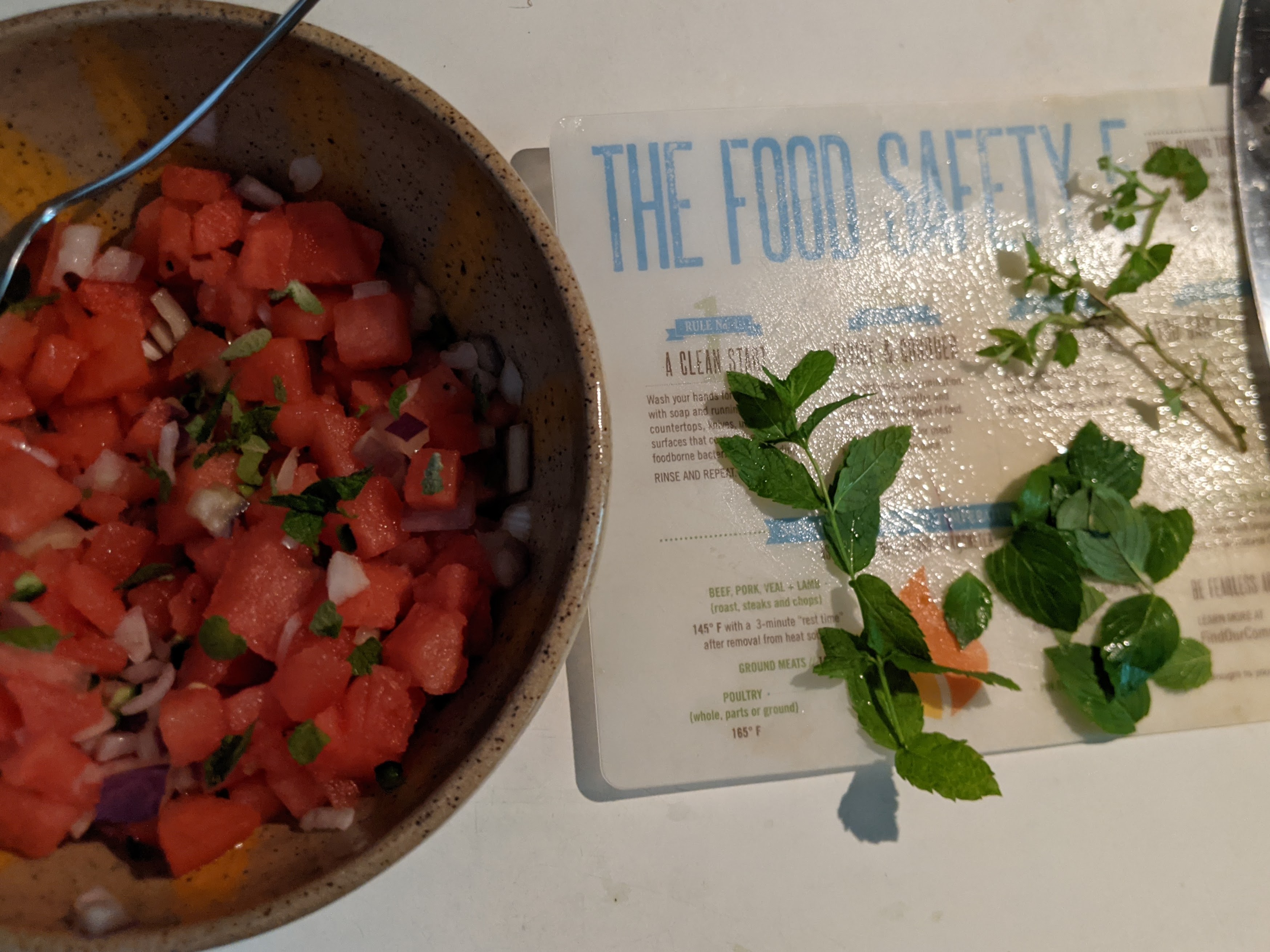 Watermelon Salsa prepared by EMFV Jane Kulesza