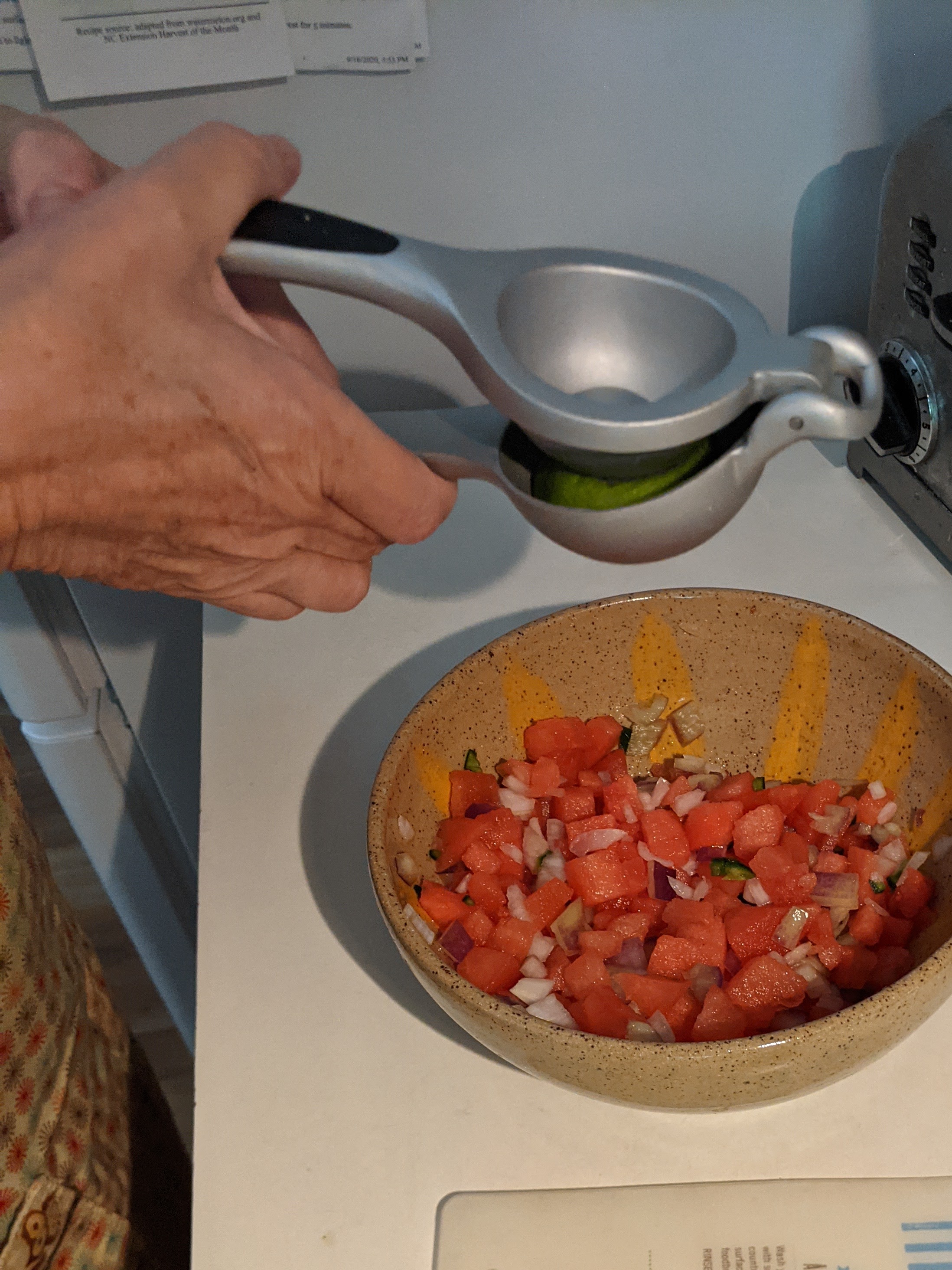 Watermelon Salsa, prepared by EMFV Jane Kulesza – use fresh or bottled lime juice