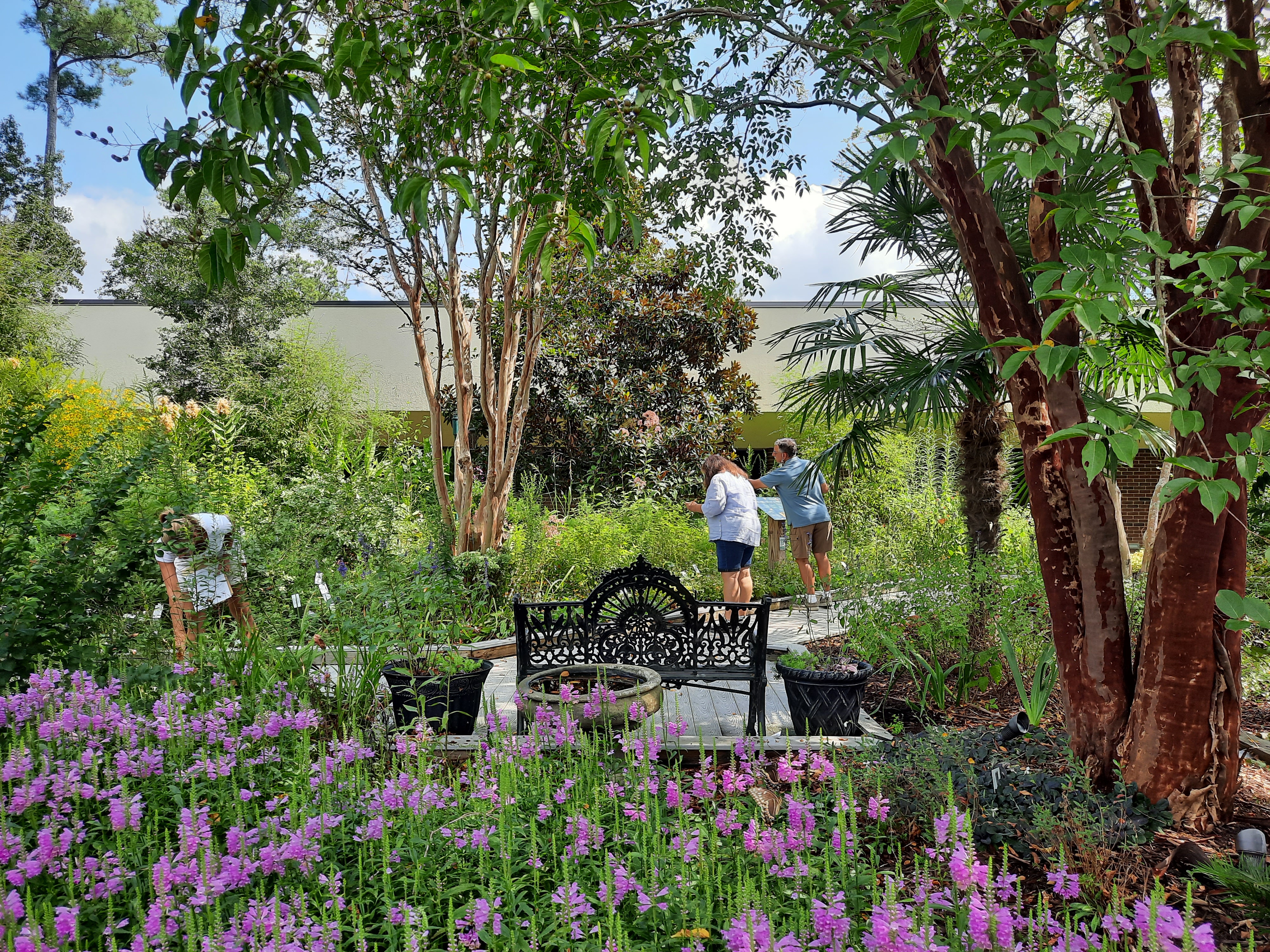 3 EMGV students in distance of garden searching for clues for their scavenger hunt