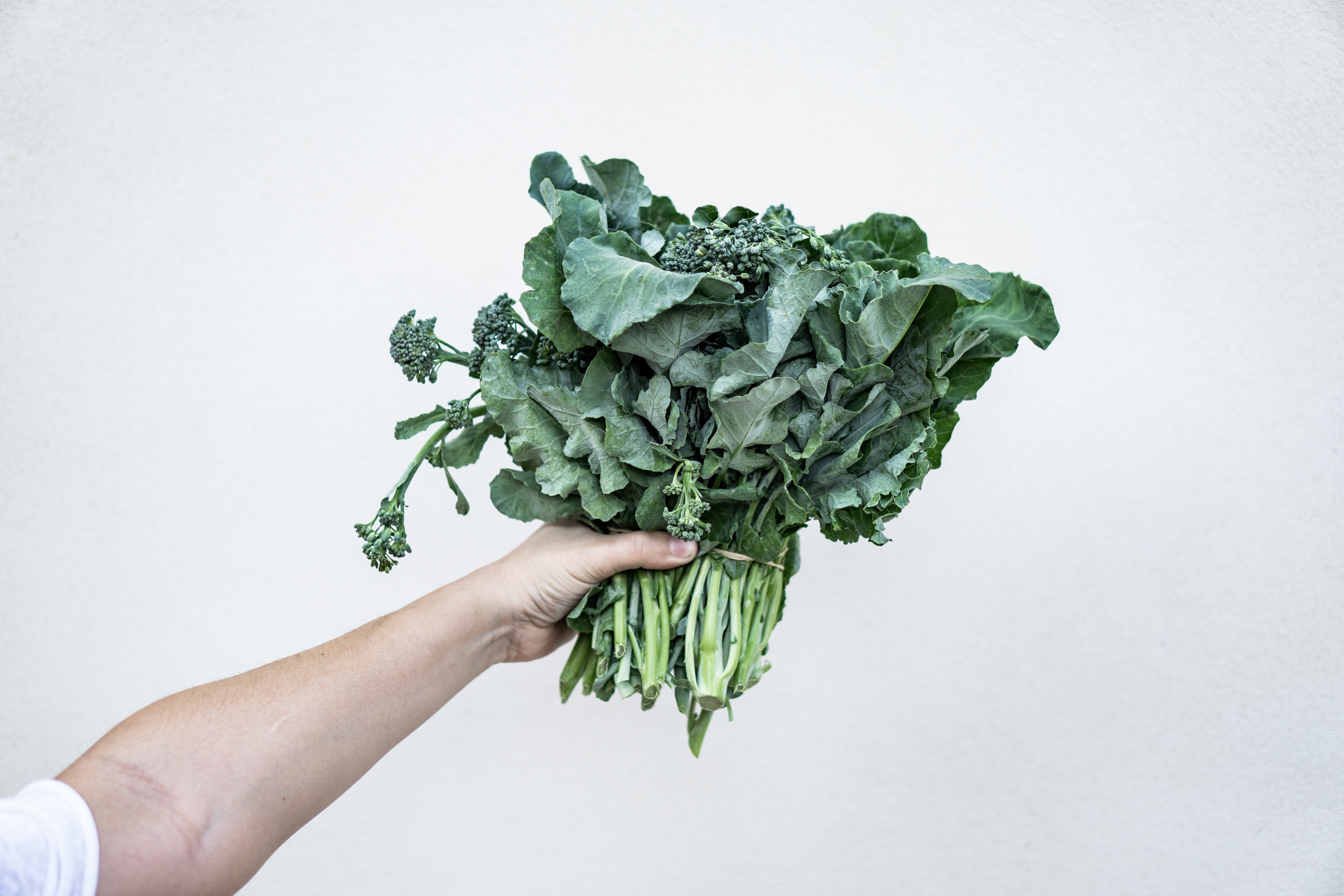 bundle of kale held in someone's hand