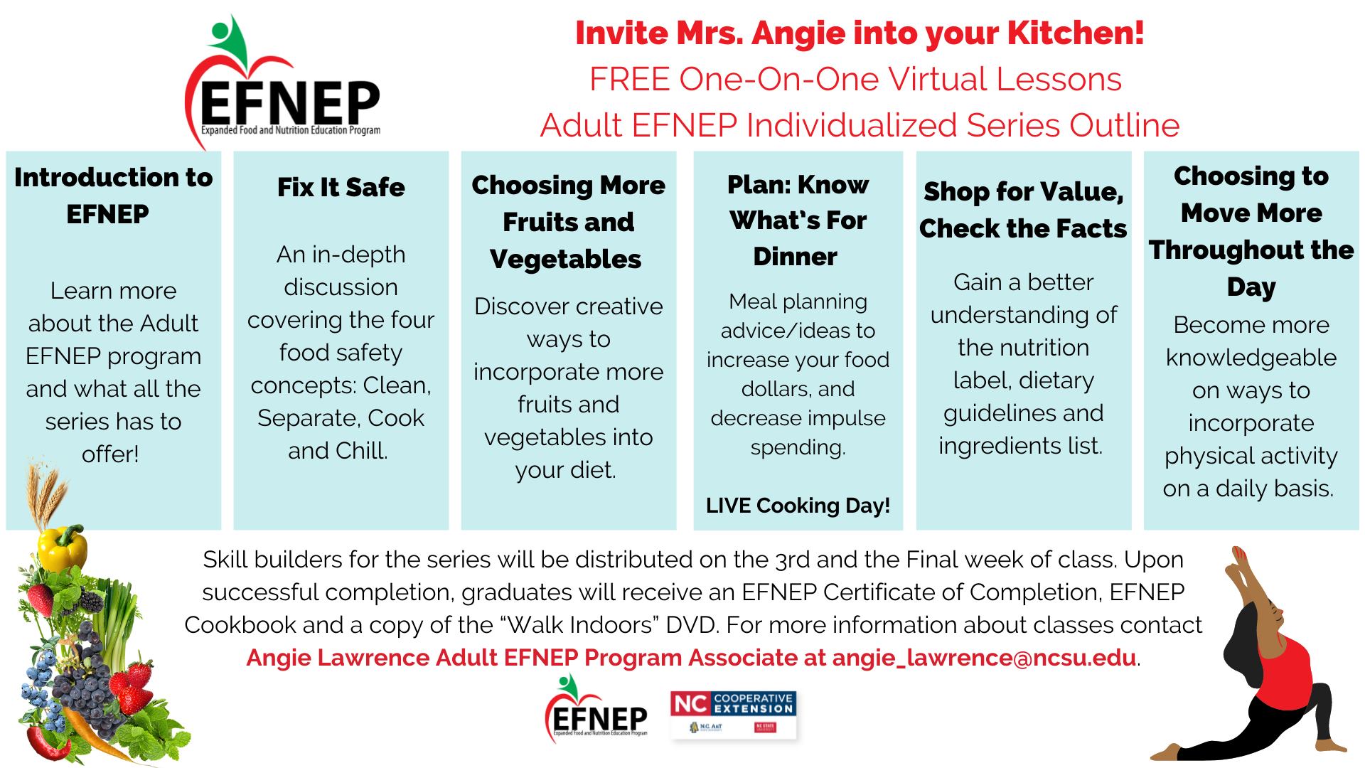 Adult EFNEP Individualized Series Outline 