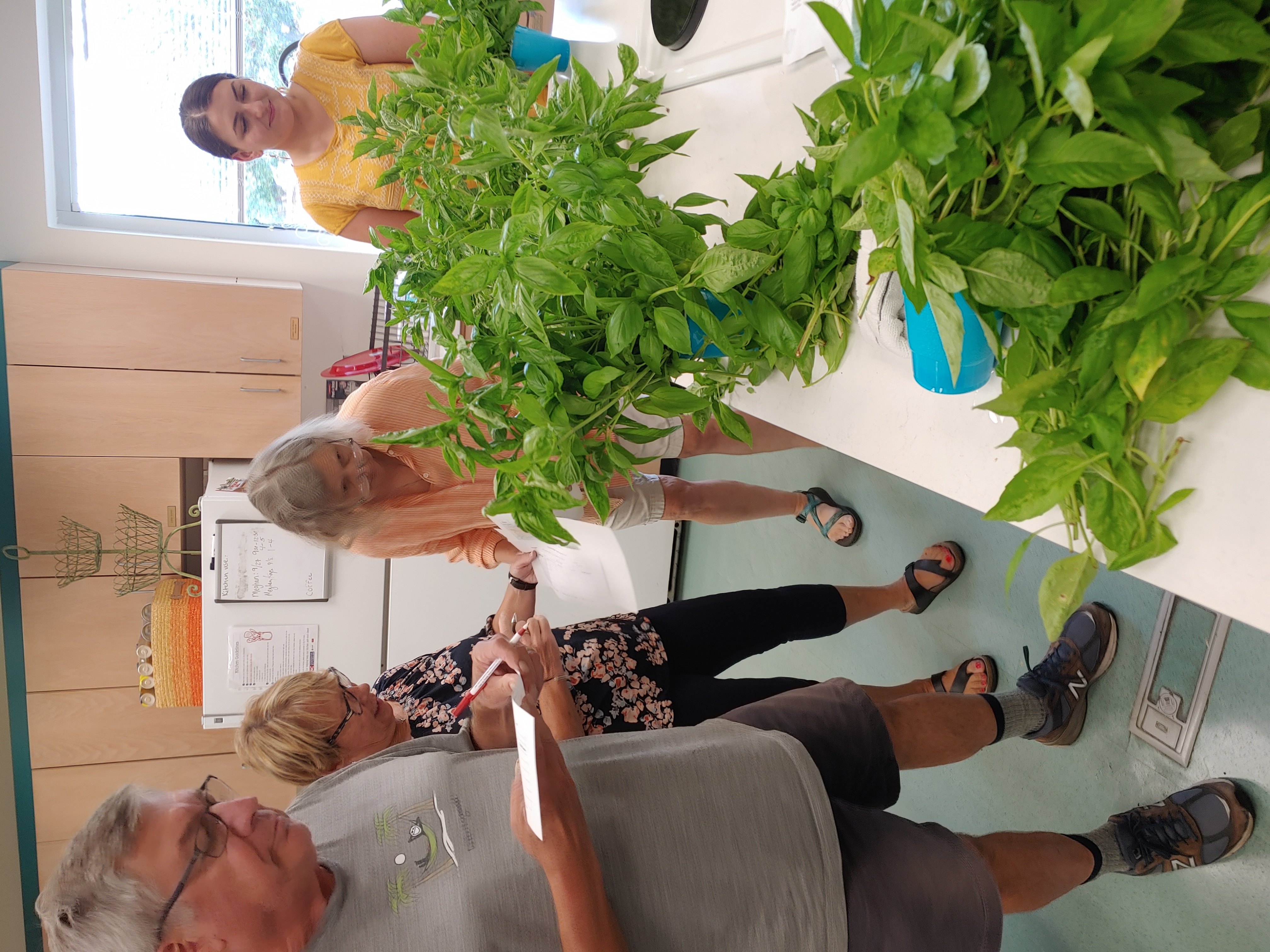 EMFVs Paul Rwinmann, Lori Van Horn, Jane Kulesza and Extension Agent Meghan Lassiter (left to right) evaluating the six cultivars of basil.