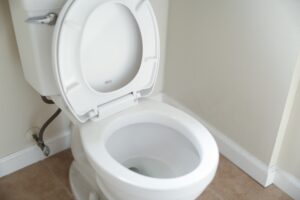 Cover photo for Fascination With Toilets—Risky or Not?