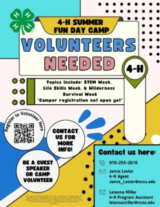 Cover photo for 4-H Volunteers Needed  - Summer Fun!