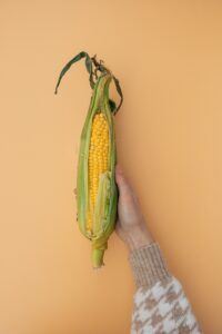Cover photo for Crazy Corn?