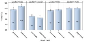 Cover photo for Soybean Growth Habit Impact on Soybean Height, Nodes, and Yield in the Same Maturity Group