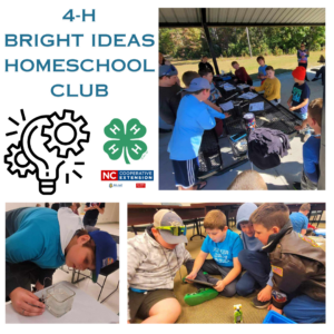 4-H Bright Ideas Homeschool Club