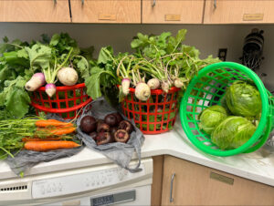 photo of all the veggies the youth grew and picked from the garden