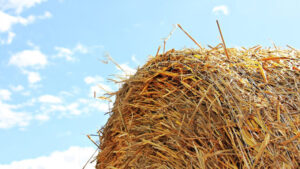 Hay and Livestock Assistance Form from NCDA&CS and NC State Extension to assist farmers with Hurricane Helene recovery efforts.