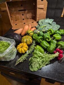 CSA box from the week of november 7th