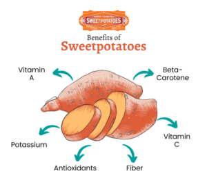 diagram of sweet potatoes nutritional value