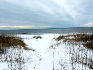 snow on the beach coast S.E. NC