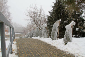 Protection of bushes from frost along the stairs in the winter park