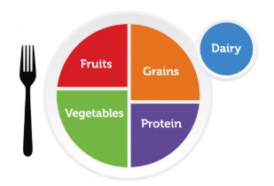 MyPlate- 5 food groups flyer