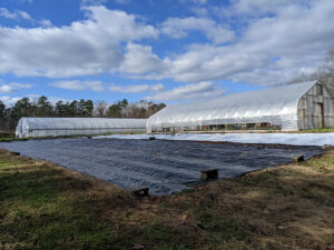 Cover photo for Conservation in Action: NCCOP Partners With CFSA Farm Tour