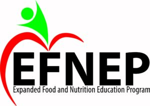 Cover photo for Mrs. Angie Shares the Power of Vegetables Through Reading, Movement, and Cooking