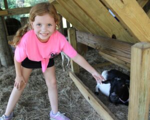 5. Livestock