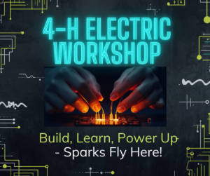 Cover photo for 4-H Electric Workshop